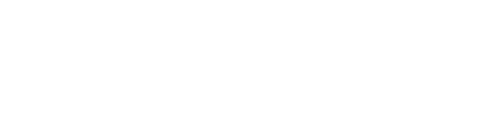 Investor 1