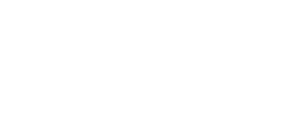 Investor 1
